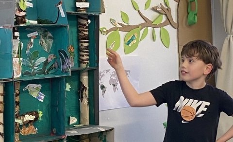 The Rainforest - IPC Exit Point in grades 3-4